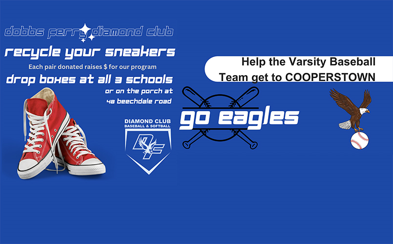 Recycle your sneakers, help support DFHS Baseball!