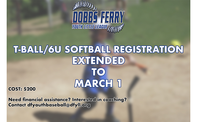 Dobbs Ferry Youth Little League > Home